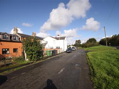 Picture 24